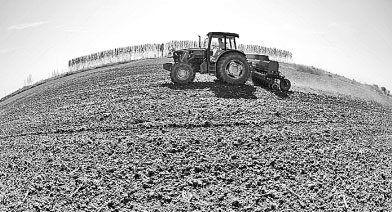 中国种业突破重围，靠什么