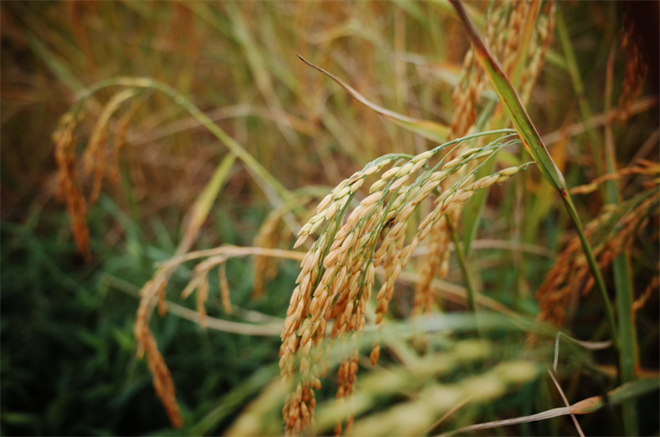 1574416247711112.png 图片3.png