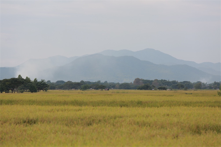 1574416417157722.png 3.png