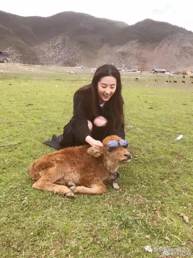 刘亦菲“嫌”《三生三世十里桃花》动作戏没挑战性，自曝自己不会保养爱喝汤