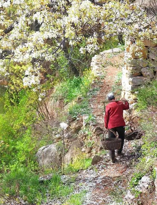 太行山巅上，一个400年的古村庄，一条险峻的天路！美绝了！