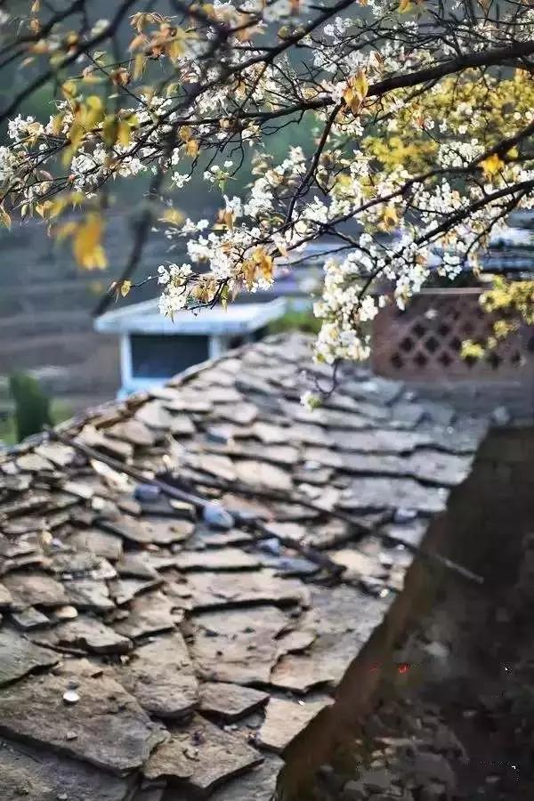 太行山巅上，一个400年的古村庄，一条险峻的天路！美绝了！