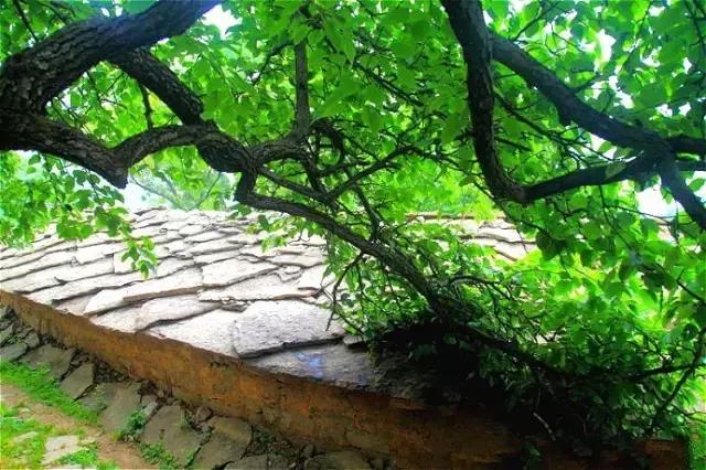 太行山巅上，一个400年的古村庄，一条险峻的天路！美绝了！