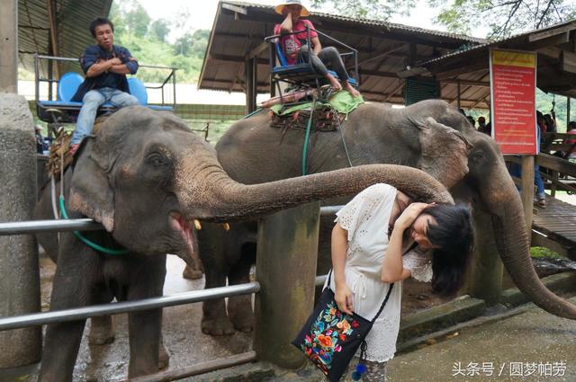 去泰国旅游资深玩家攻略，大家留存必有用处