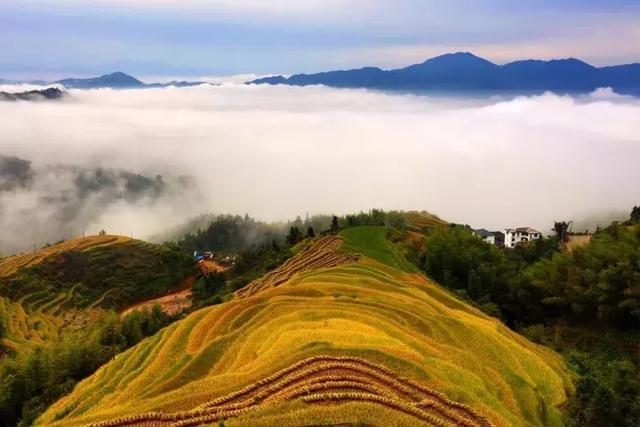 南方有一个省靠一场媲美西北秋景引起关注，最近还对全国游客半价