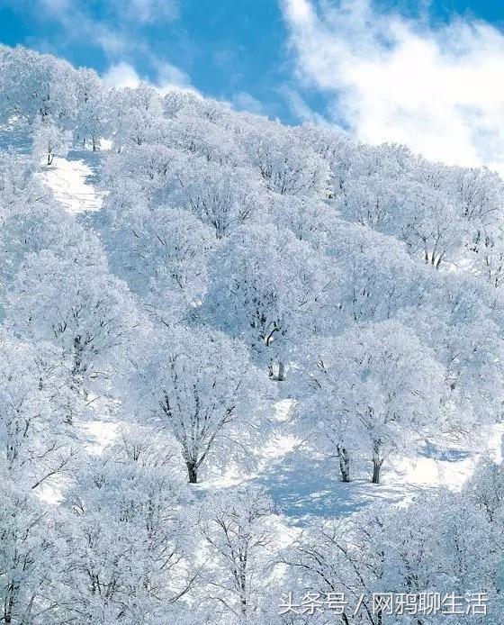 12月国内最美的12个地方，陪我一起去走遍可好……