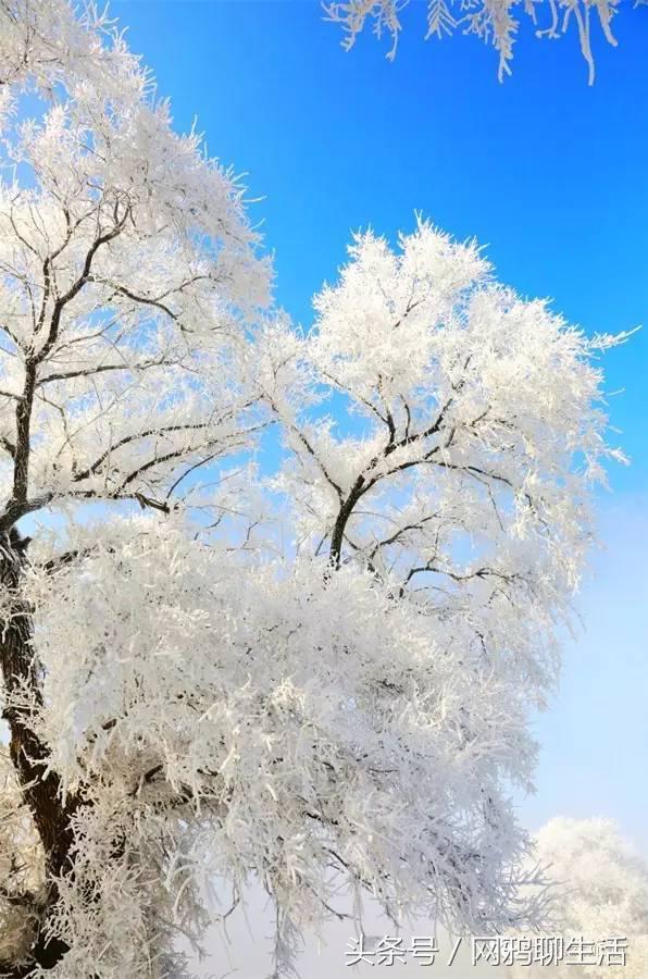 12月国内最美的12个地方，陪我一起去走遍可好……