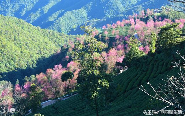 12月国内最美的12个地方，陪我一起去走遍可好……