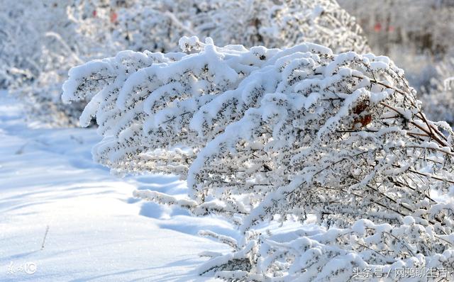 12月国内最美的12个地方，陪我一起去走遍可好……